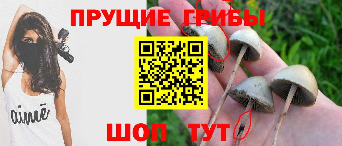 Галлюциногенные грибы прущие грибы  Вход с VPN  Асино 